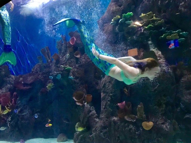 Mermaid swim | Downtown Waco